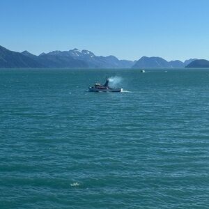 Meet your Posher, Alexus